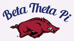 Beta Theta Pi University of Arkansas Fall Quarter Zip Design 2025