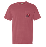 Alpha Phi University of Arkansas ESPHIN Design 2025