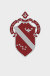 Alpha Phi University of Arkansas Graduation Stole 2025