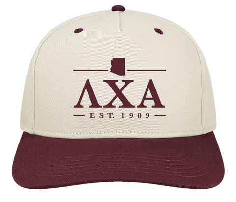 Delta Zeta Arizona State University Hoops For Hearing 2025 - Lambda Chi Alpha
