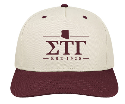 Delta Zeta Arizona State University Hoops For Hearing 2025 - Sigma Tau Gamma
