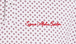 Sigma Alpha Epsilon University of Arkansas Cursive Design 2025