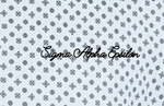 Sigma Alpha Epsilon University of Arkansas Cursive Design 2025