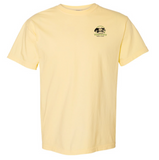 Fayetteville Veterinary Medical Center Collage Design 2026