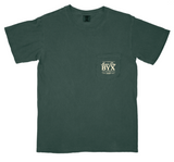 Beta Upsilon Chi University of Arkansas Mom's Day Design 2026