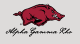 Alpha Gamma Rho University of Arkansas Summer Design 2026