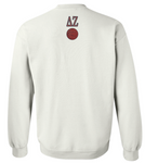 Delta Zeta Arizona State University Hoops For Hearing 2025 - DELTA ZETA