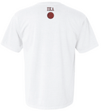 Delta Zeta Arizona State University Hoops For Hearing 2025 - Pi Kappa Alpha