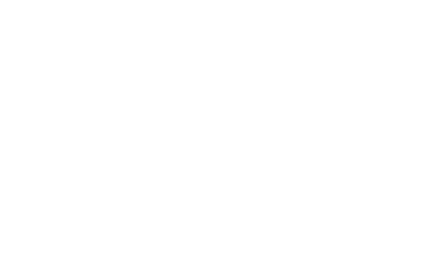 Houndstooth Custom